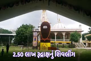 rudraksha-shivlinga-made-at-gayatri-temple-bhavnagar