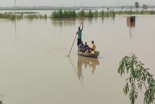 The Mand area of Kapurthala has been devastated due to flood
