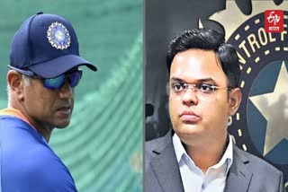 Secret Meeting of Jay Shah and Rahul Dravid Team India future plan