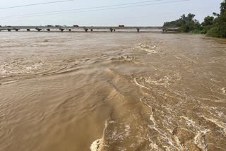 Amid rising water level in Beas river