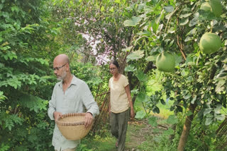 Debal Majumdar and Aparajita Sengupta