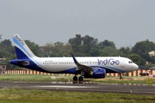 Indigo Airlines