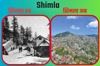 devastation in Shimla