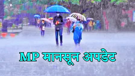 MP Weather News