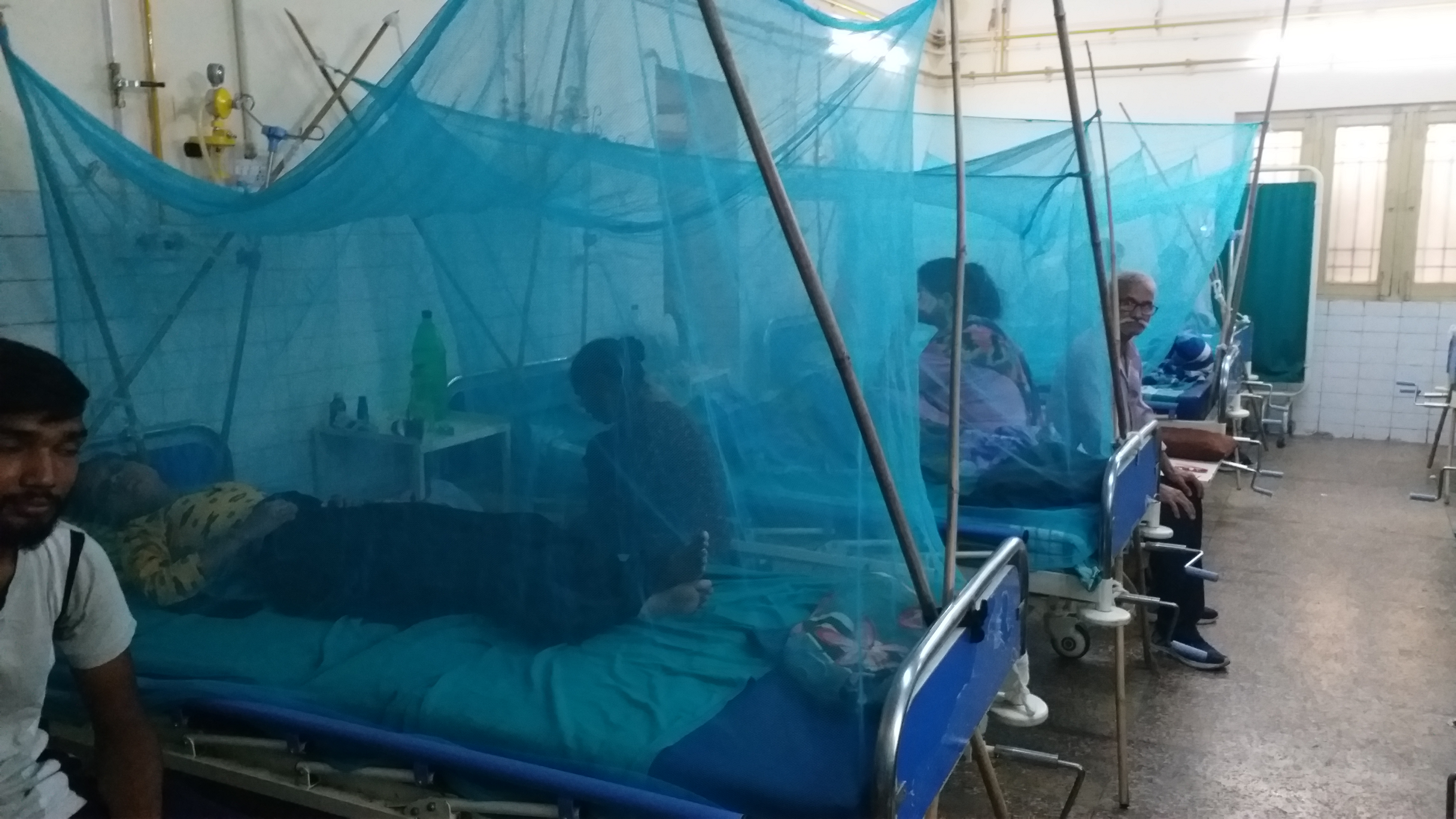 Dengue in Haldwani