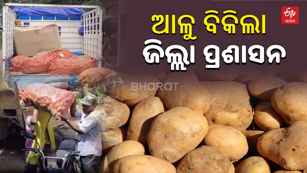 Potato Crisis In Jagatsinghpur