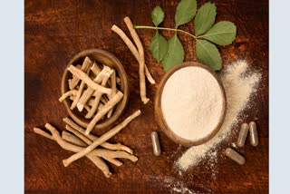 Ashwagandha Plant Benefits