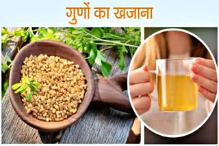 FENUGREEK SEEDS BENEFICIAL FOR HEALTHY BODY AND METHI DANA KE FAYDE