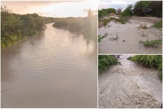 due_to_heavy_rains_streams_overflowing_in_anantapur_district