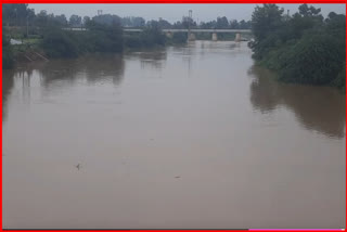 Sirsa Ghaggar River Water Level