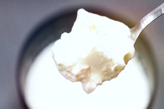 HEALTH BENEFITS OF LEFTOVER CURD  LEFTOVER CURD RECIPES  LEFTOVER CURD USAGE TIPS  HOW TO USE LEFTOVER CURD