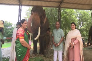 speaker_visited_zoopark