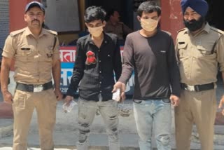 Smack Smuggler Arrested In Almora