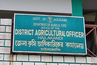 HILAKANDI DISTRICT AGRICULTURE DEPT