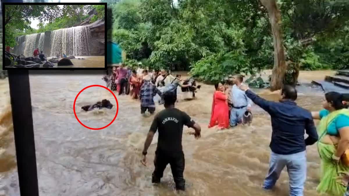 VIDEO: बालोद में पुल पार करने के दौरान बहे 2 युवक, लोगों ने बचाई जान, सिया  देवी पर्यटन स्थल की घटना