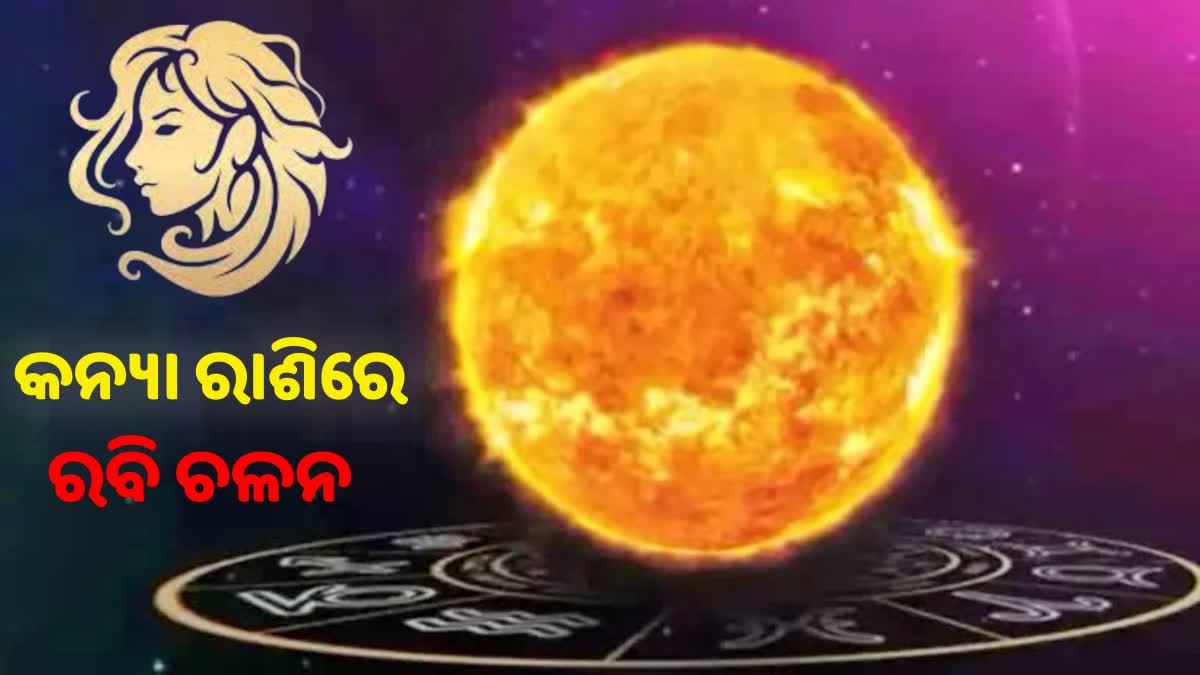 sun transit special horoscope