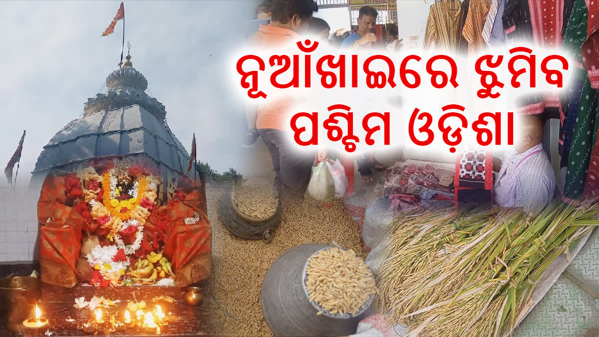 nuakhai celebration in western odisha