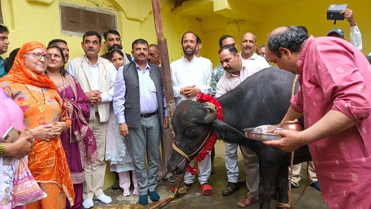 Sanjay Awasthi inaugurated Sayar Utsav in solan