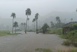 Mount abu receives 137 MM rain in last 24 hours