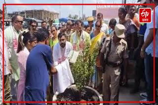 MLA Rupak Sarmah plants saplings in Nagaon