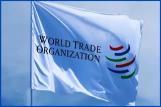Sugar Matter in WTO