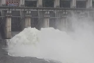 Gandhi Sagar Dam water Level Up