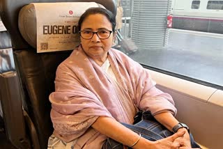 Mamata Banerjee in Spain