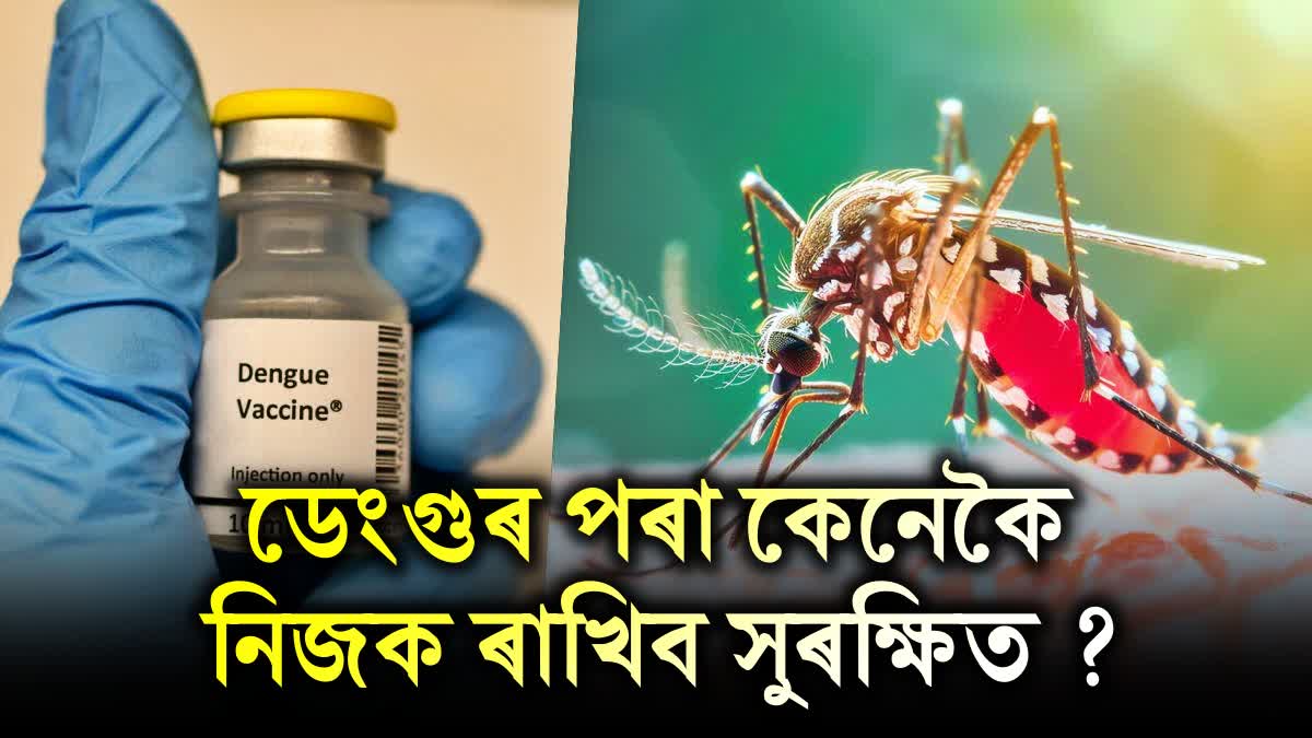 Dengue Fever Causes, Symptoms, Treatment and Prevention