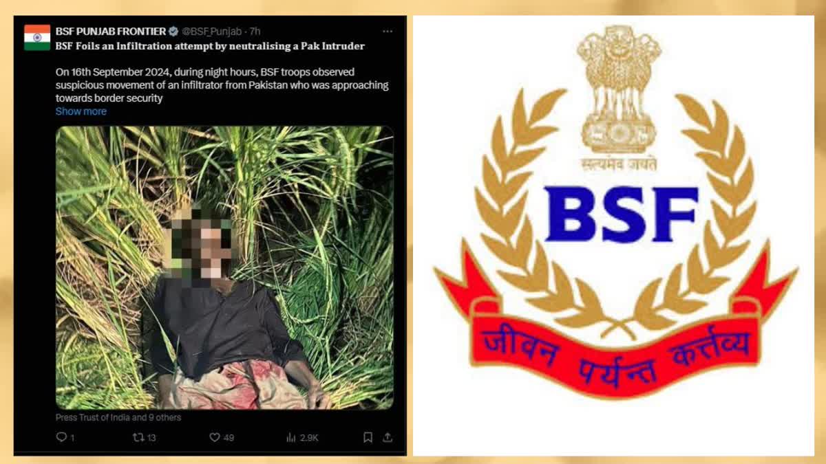 BSF killed the suspect