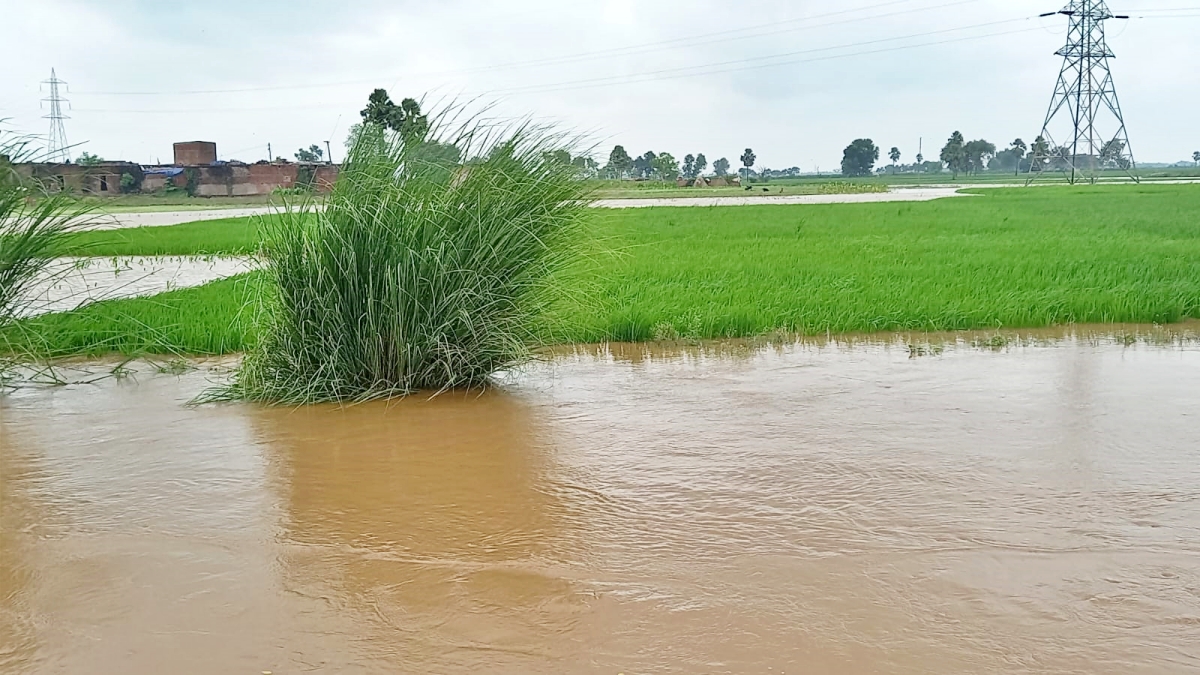 FLOOD IN GAYA