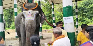 People Worshipped Elephant in Dooars