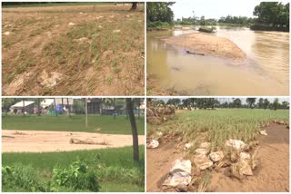 Sand Dunes in Crop Felds in Kakinada