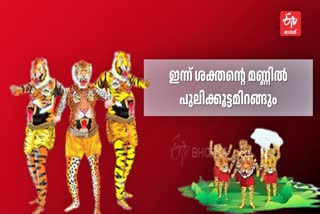 ONAM PULI KALI 2024  പുലികളി  PULI KALI CHAMAYA PRADARSHANAM  തൃശൂർ പുലികസി