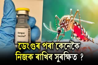 Dengue Fever Causes, Symptoms, Treatment and Prevention