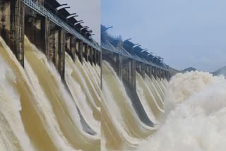 maithon-and-panchet-dam-opened-amid-rain-west-bengal-alerted-dhanbad