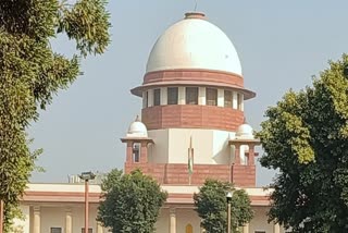 SC Stops Bulldozer Action