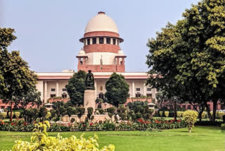 SC Rejects Bail Plea Of Chinese National In Criminal Case