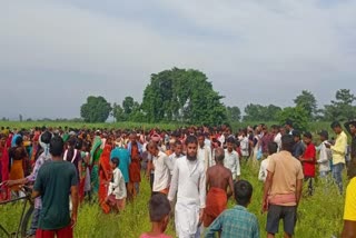 Villagers gather after tiger leaves body of victim in fields in Bihar village.