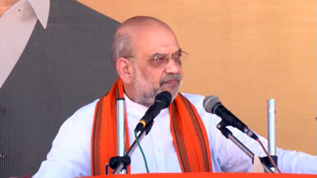 Waqf Bill Committed To Preserving Waqf Properties, Parliament To Passed It In Coming Days: Shah