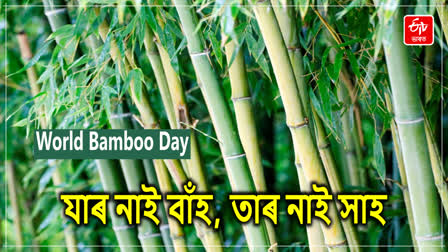 World Bamboo Day