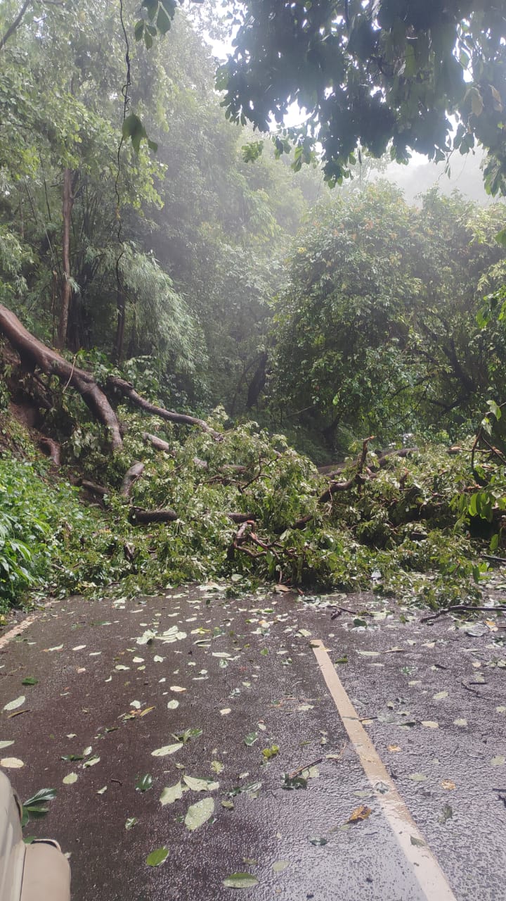 Dam broke due to heavy rain in Latehar