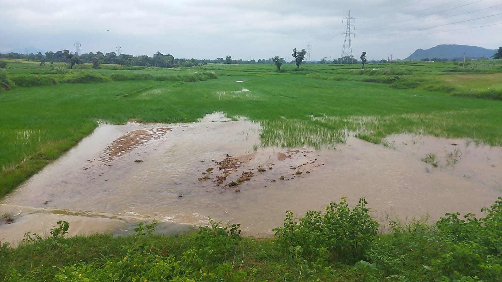 Dam broke due to heavy rain in Latehar