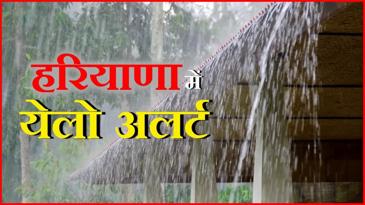 Yellow alert in haryana heavy rains in Haryana Weather forecast