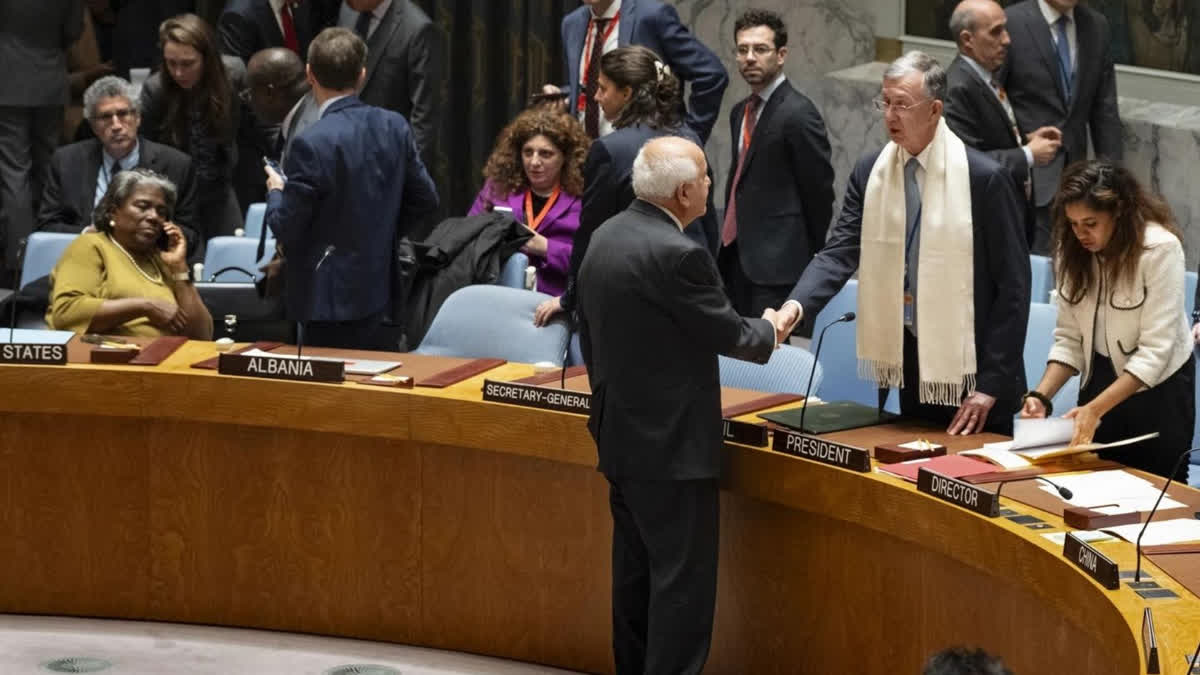 UN Security Council Rejects Russia's Resolution On Gaza That Fails To ...