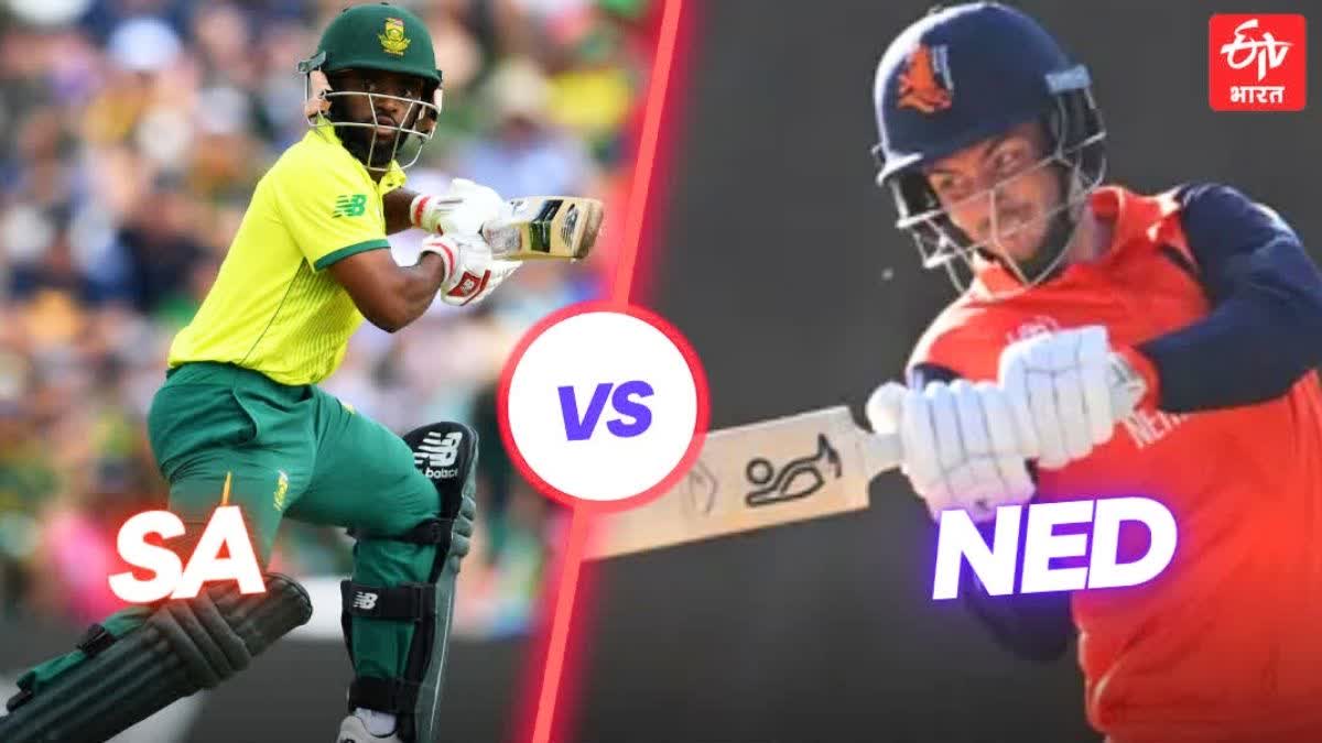 SA vs NED world cup 2023