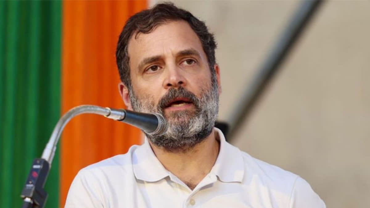 INDIA bloc represents 60 pc of nation, more than BJP does: Rahul Gandhi ...