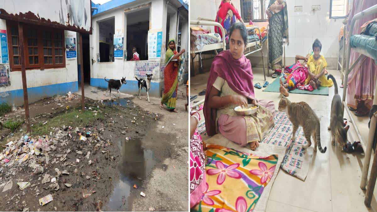 Govt Hospital Situation in Malda