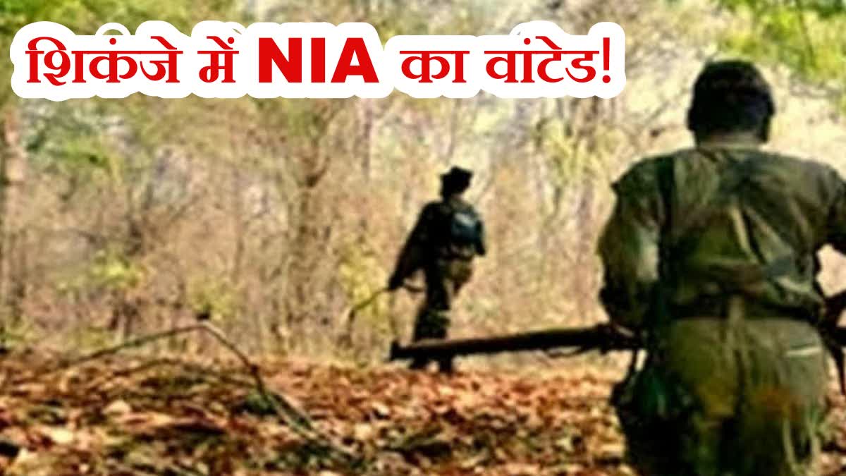 crime-jharkhand-police-arrested-nia-wanted-rewarded-naxalite-agnu-ganjhu-from-latehar