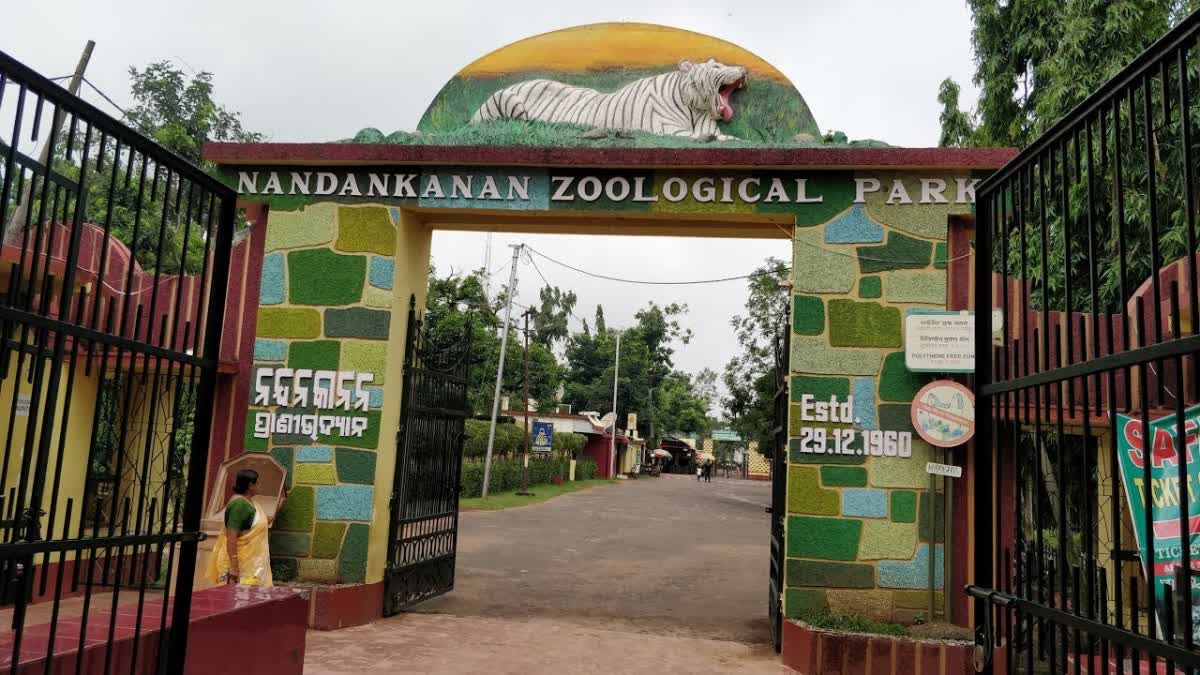 Nandankanan Zoo: ବୁଧବାର ନନ୍ଦନକାନନରେ ଉଦଘାଟନ ହେବ 3ଟି ପ୍ରକଳ୍ପ