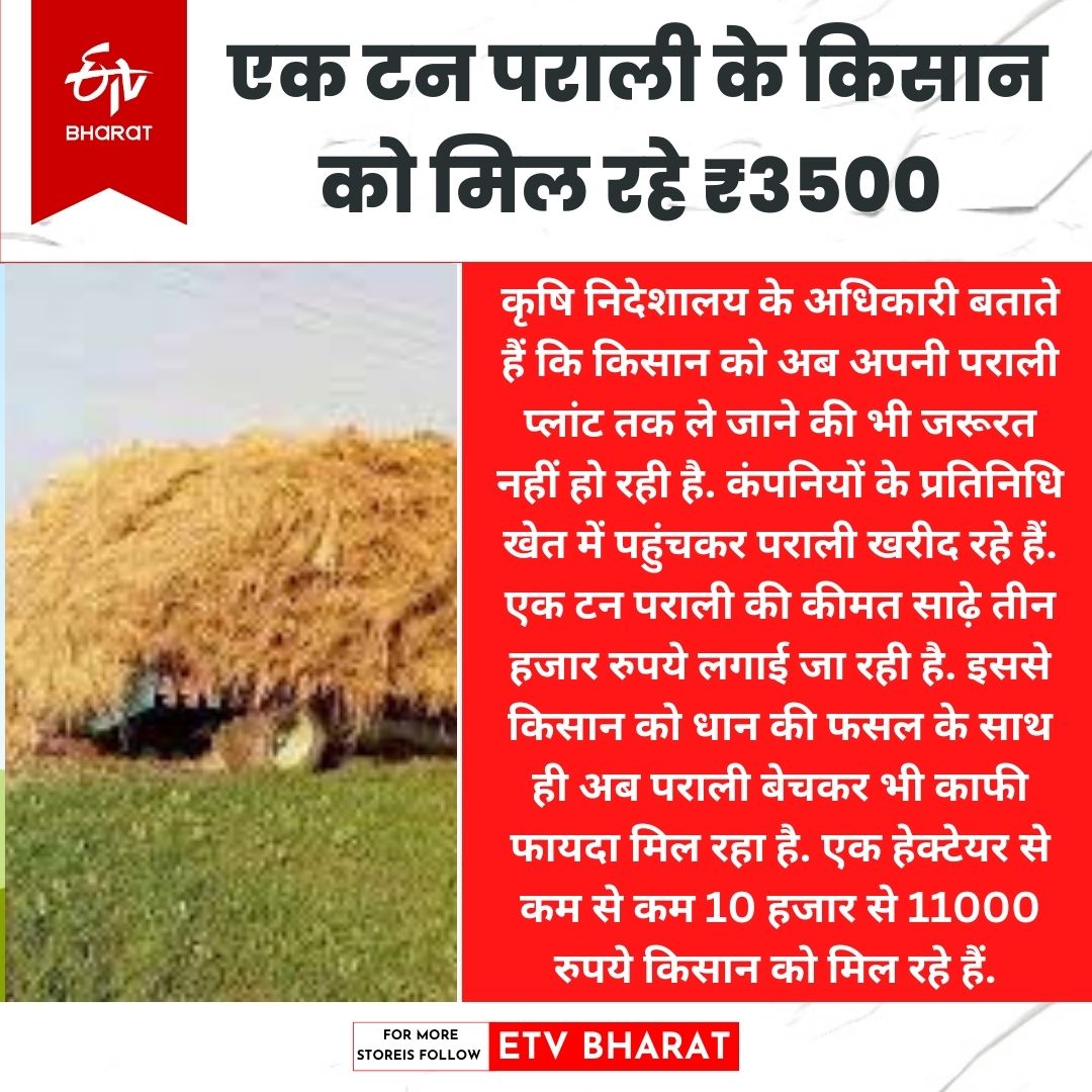 Agriculture News : यूपी को मिलेगा पराली की समस्या का समाधान.